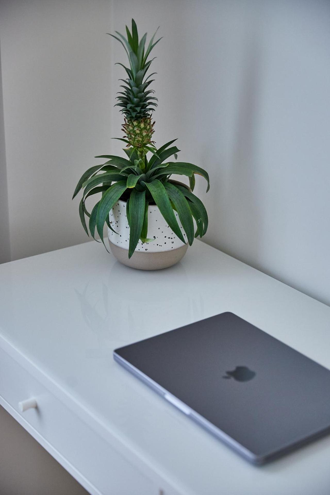 Urban Chic Apartment In The Heart Of מכלן מראה חיצוני תמונה